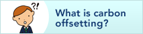 What is Carbon Offsetting?