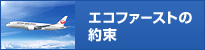 �G�R�E�t�@�[�X�g�̖�