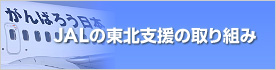 JAL�̓��k�x���̎��g��