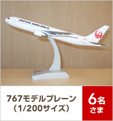 767モデルプレーン(1/200サイズ) 6名さま