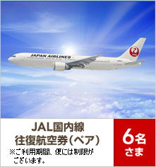 JAL国内線往復航空券(ペア) 6名さま ※ご利用期間、便には制限がございます。