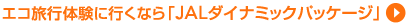 �G�R���s�̌��ɍs���Ȃ�uJAL�_�C�i�~�b�N�p�b�P�[�W�v