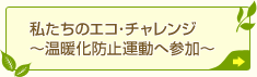 �������̃G�R��`�������W�`���g���h�~�^���֎Q���`