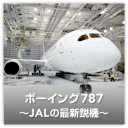 �{�[�C���O787�`JAL�̍ŐV�s�@�`