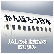 JAL�̓��k�x���̎��g��
