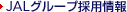 JAL�O���[�v�̗p���