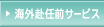 �C�O���C�O�T�[�r�X