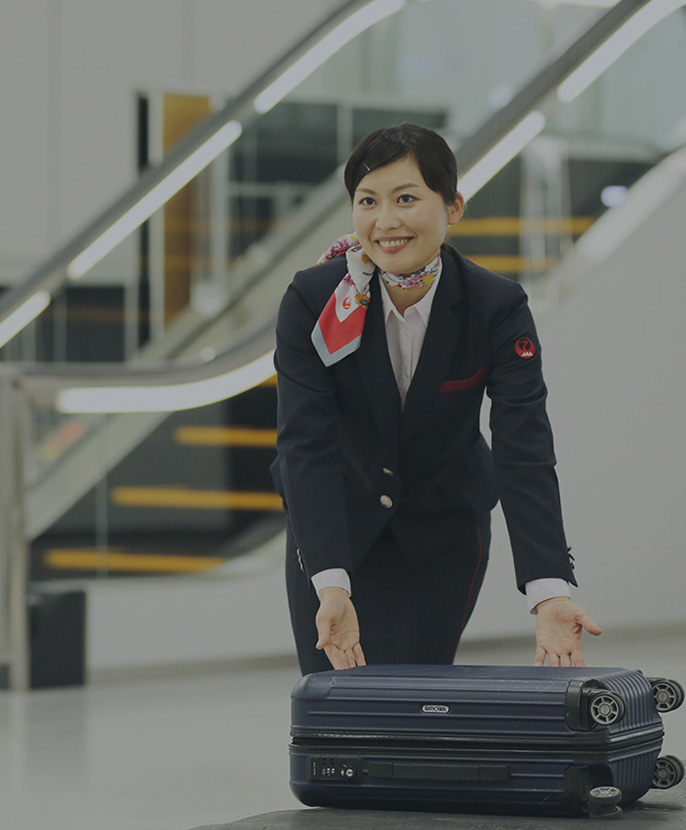 BATON PASS JAPAN AIRLINES Corporate Information