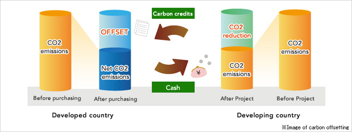 Conceptual Diagram of Carbon Offsets