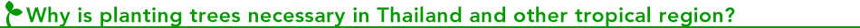 Why is planting trees necessary in Thailand and other tropical region?