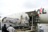 Photo: Transportation of supplies An offer and the transportation cooperation of support supplies