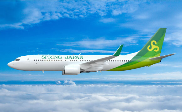 Domestic / International Flights