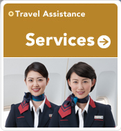 Services Travel Assistance