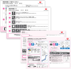 Photo: Communication Boards (domestic flights)