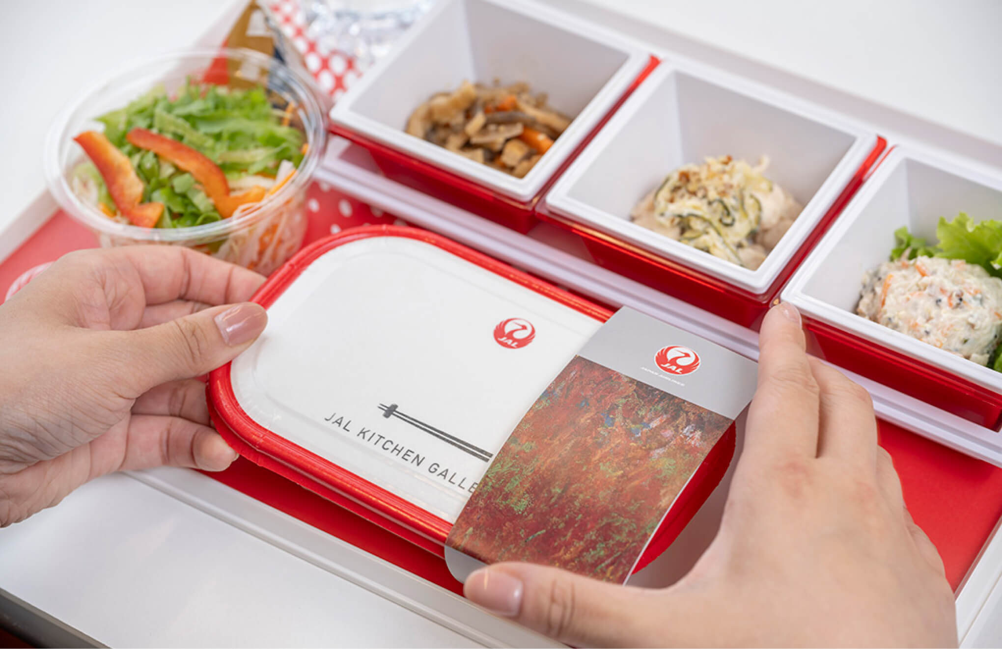 Twelve pieces of artwork selected to feature in sleeves of economy class international in-flight meals