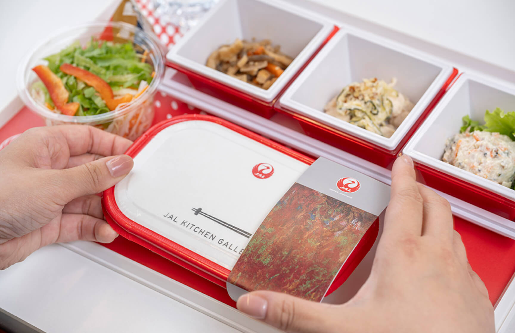 Twelve pieces of artwork selected to feature in sleeves of economy class international in-flight meals