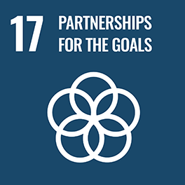 GOAL 17: PARTNERSHIPS