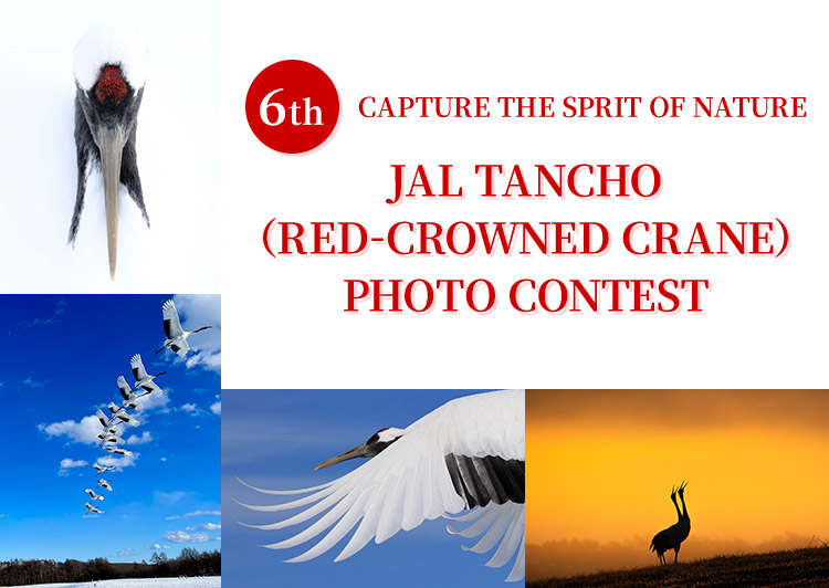 6TH CAPTURE THE SPRIT OF NATURE JAL TANCHO (RED-CROWNED CRANE) PHOTO CONTEST