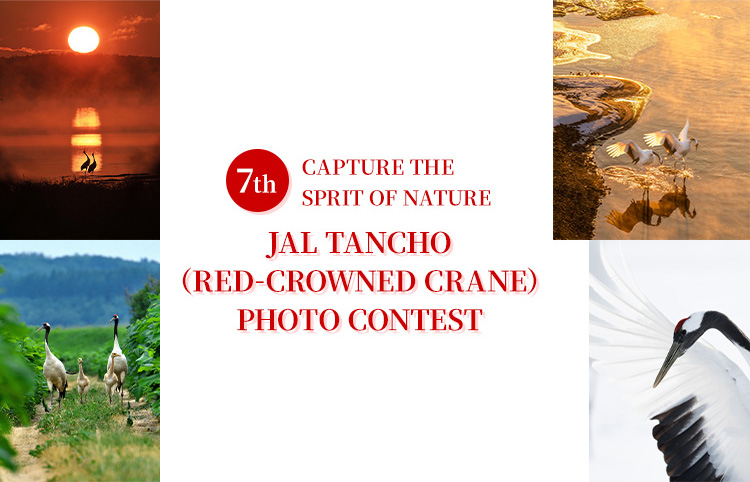 7TH CAPTURE THE SPRIT OF NATURE JAL TANCHO (RED-CROWNED CRANE) PHOTO CONTEST