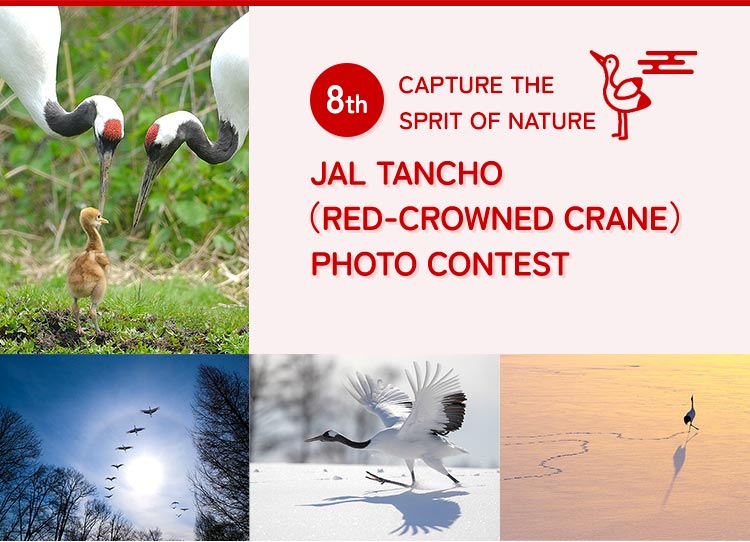 8TH CAPTURE THE SPRIT OF NATURE JAL TANCHO (RED-CROWNED CRANE) PHOTO CONTEST