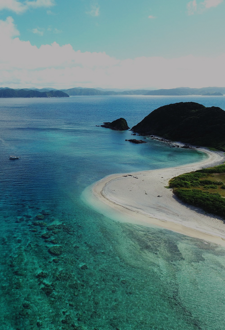 Jalエアモビリティ ドローン 空飛ぶクルマ事業化プロジェクト Jal企業サイト