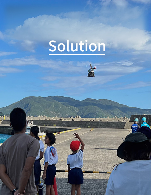 Solution