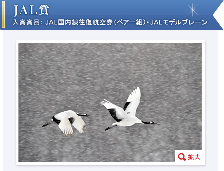 JAL