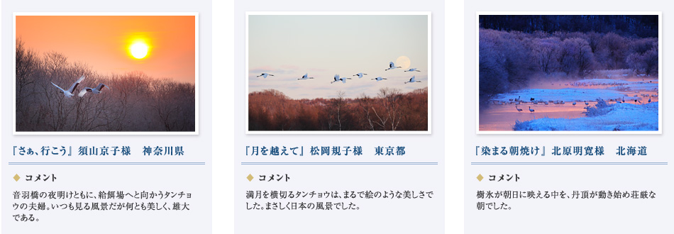 uAsv{Rql@uzāvKql@u܂钩Ăvkl