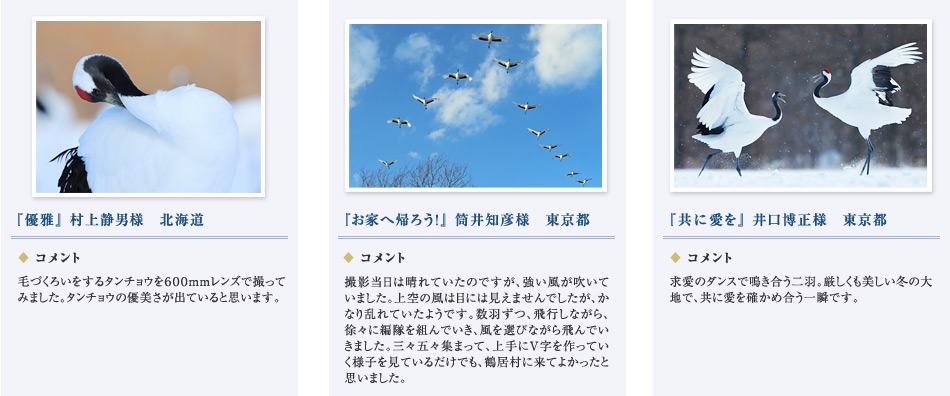 uDvÒjl@uƂ֋A낤IvmFl@uɈvl