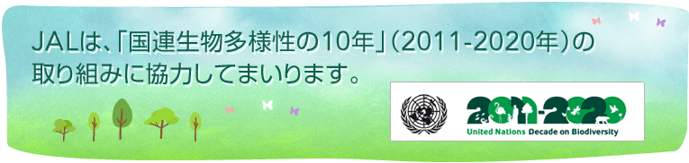JAĹAuAl10Nvi2011-2020Nj̎g݂ɋ͂Ă܂܂B