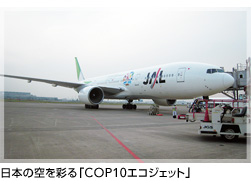 {̋ʂuCOP10GRWFbgv