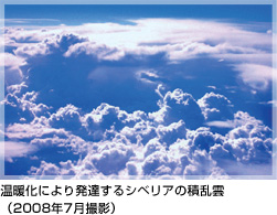 gɂ蔭BVxA̐ϗ_ i2008N7Bej