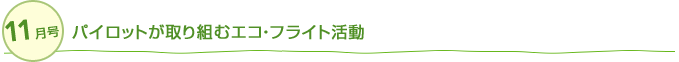 11 pCbggރGREtCg