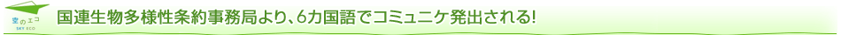 Al񎖖ǂA6JŃR~jPoI