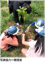 �ʐ^���́�����