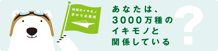 �n���̃C�L���m�󂩂牞���c�@���Ȃ��́A3000����̃C�L���m�Ɗ֌W���Ă���H
