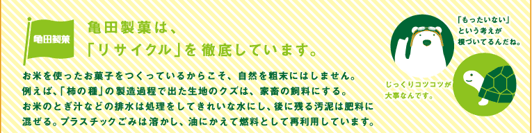 �T�c���ق́A�u���T�C�N���v��O�ꂵ�Ă��܂��B