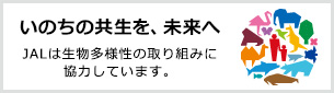 ̂̋A