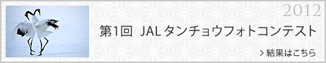 1 JAL^`EtHgReXg ʂ͂
