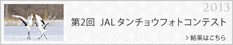 2 JAL^`EtHgReXg ʂ͂