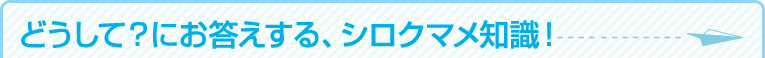 ǂāHɂAVN}mI