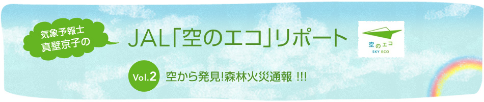 Cۗ\m^ǋqJALũGRv|[g Vol.2 󂩂甭IXщ΍Вʕ !!!