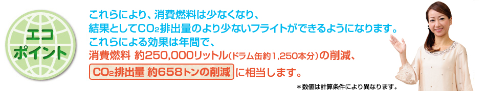 ɂAR͏ȂȂAʂƂCO2roʂ̂菭ȂtCgł悤ɂȂAɂʂ͔NԂŁAR250,000bgihʖ1,250{j̍팸ACO2roʖ658g̍팸ɑ܂B*l͌vZɂقȂ܂B