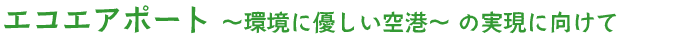 �G�R�G�A�|�[�g �`���ɗD������`�` �̎����Ɍ�����