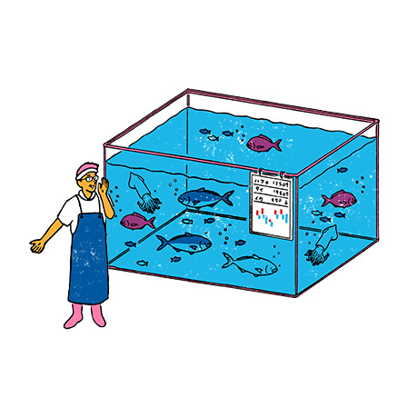 Seafood markets