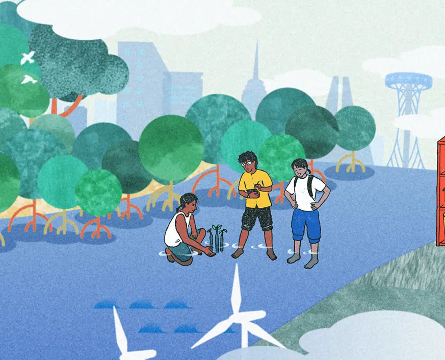 Forest and coral reef conservation and restoration / Protecting nature together