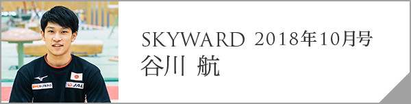 SKYWARD 2018N11 J q