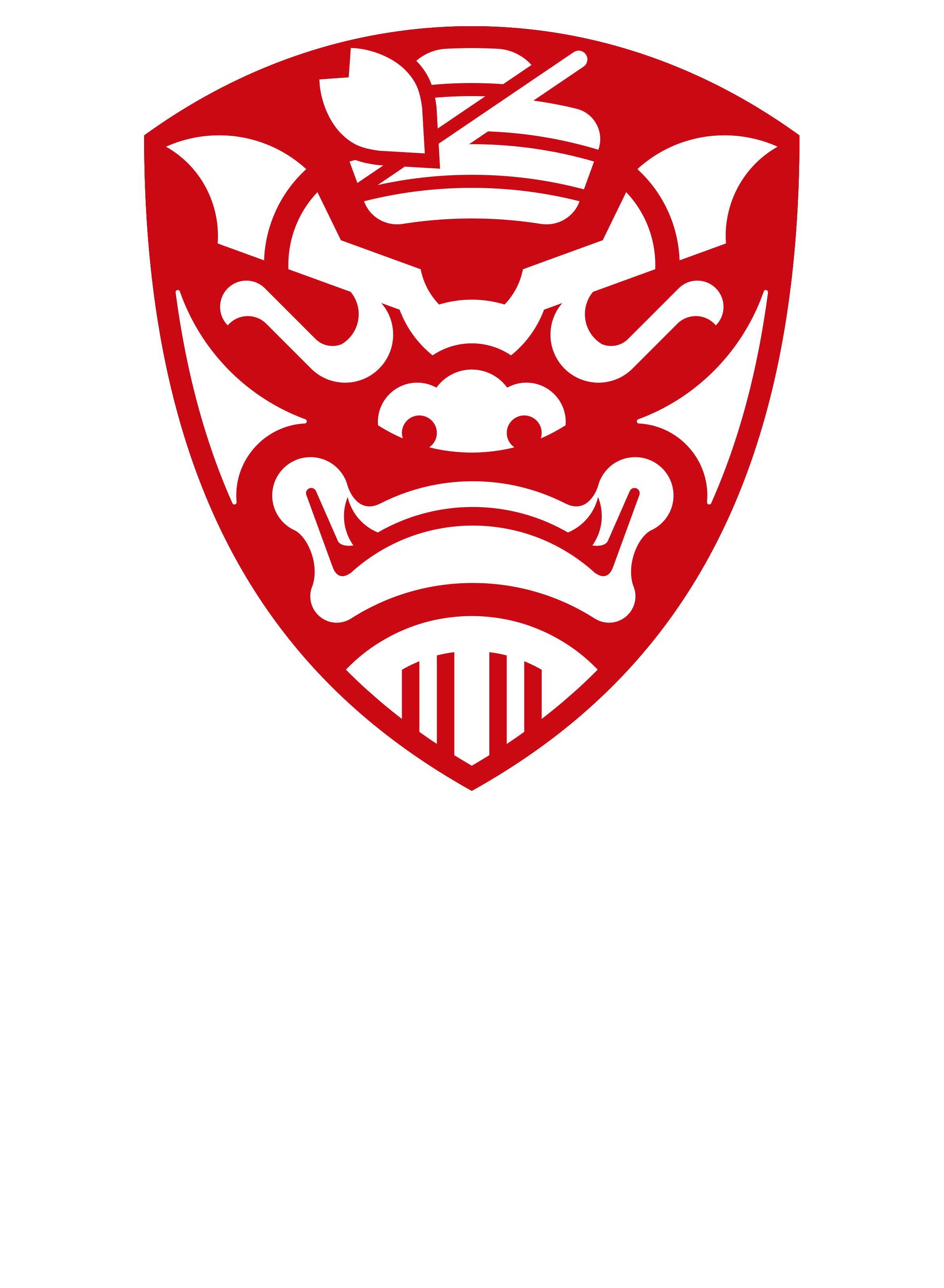 FC琉球さくら