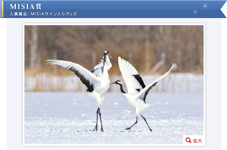 MISIA