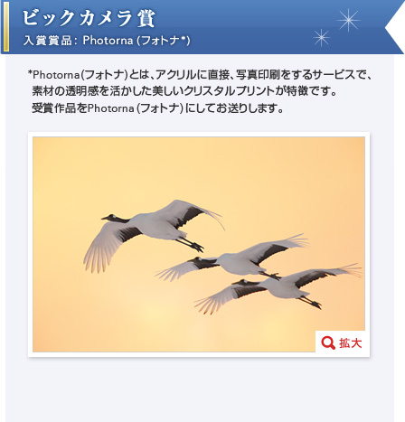 rbNJ